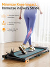 Walking Machine Treadmill for Home, 2.5HP Under Desk Treadmill with Incline, Running Machine with Remote Control and LED Display for Home/Office Fitness Exercise, Remote & App Control, No Assembly
